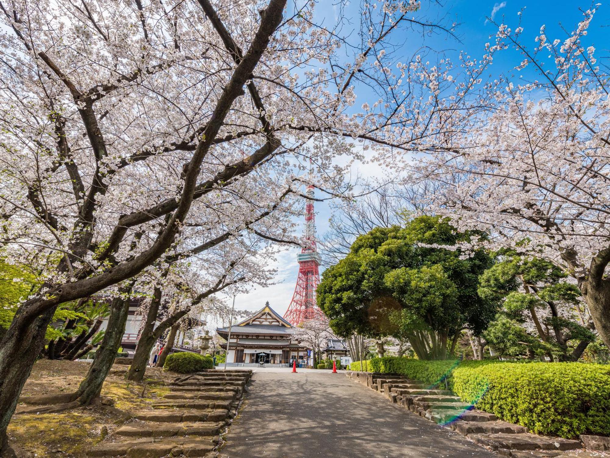 Illi Rom Hamamatsucho Otel Tokyo Dış mekan fotoğraf